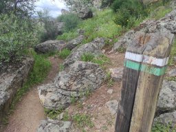 Flora del Cerro Masatrigo